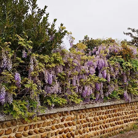 Comme A La Maison Clonas-sur-Vareze